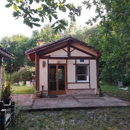 Atypique Chalet Moustey