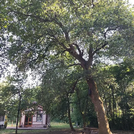 Chalet Atypique *